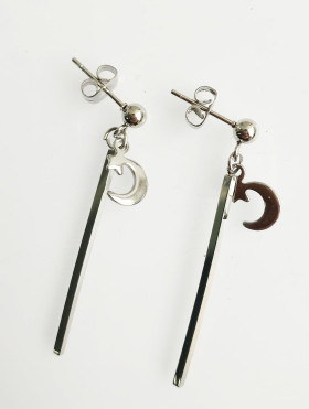 Stainless Steel Moon with Baton Earrings