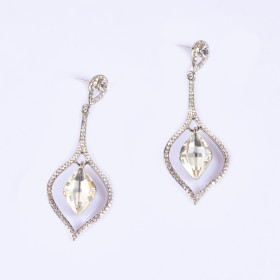 Graceful Drop Clear Earrings